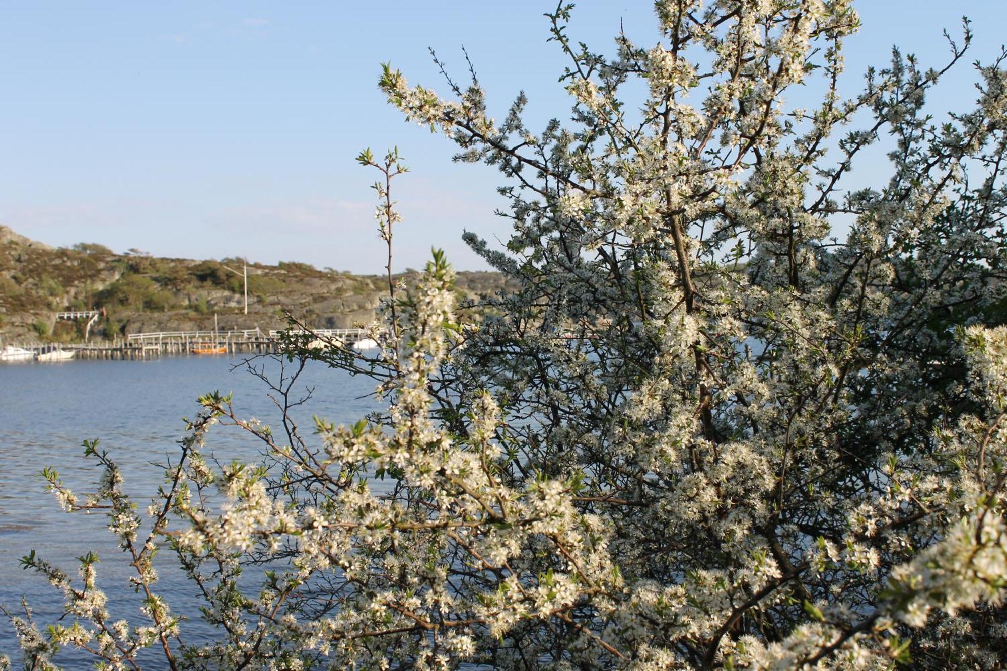 Tofta Herrgard Lycke ภายนอก รูปภาพ